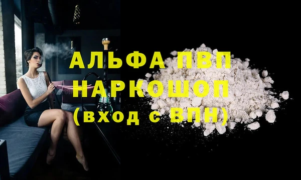 прущие грибы Волоколамск