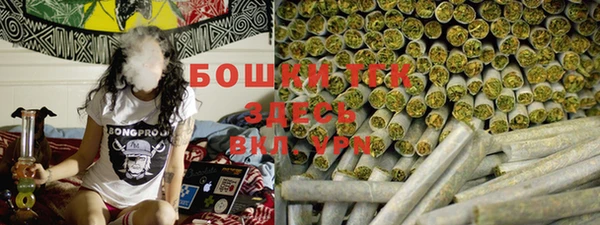 молекула духа Волосово