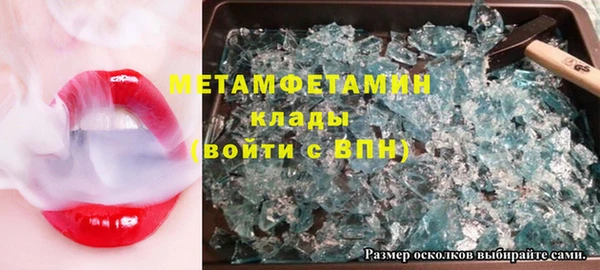 прущие грибы Волоколамск