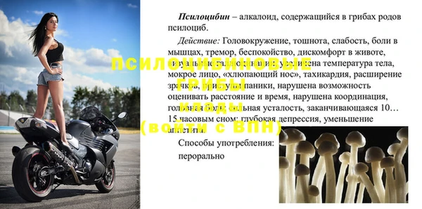 стафф Володарск