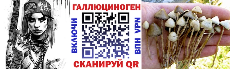 Псилоцибиновые грибы мухоморы  Ноябрьск 